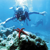 Diving & snorkelling