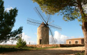 Windmill of La Mola
